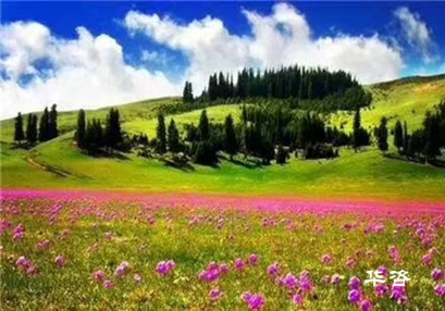 质量责任终身制!关于水土保持(水保)验收相关单位责任的全面分析 质量责任终身制!关于水土保持(水保)验收相关单位责任的全面分析