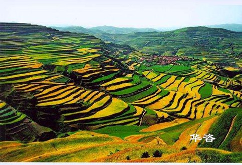 生态专篇和生物多样性调查的技术研究_国家级林业专家指导