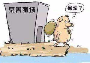 【拆迁律师】2019年养殖用地新规：养殖场符合四个条件，养殖用地无需再审批