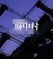 温州市鹿城区人民政府办公室关于印发鹿城区城中村改造房屋征收（置换）有关规定的通知