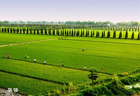 华咨公司推进湖南土地复垦方案案例_以S222公路项目为例