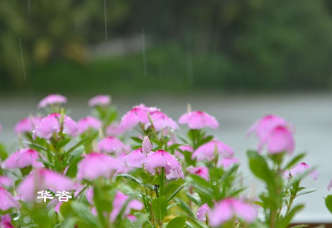 环评_华咨环保机构_第三方专业航评公司_湖南长沙华咨环保公司专业的技术单位