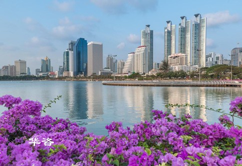 防洪影响评价的原则有哪些？