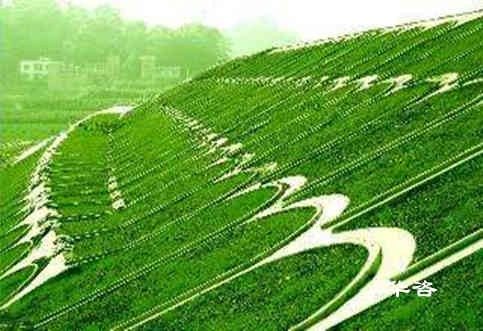 好消息！长沙水保又添典型案例：跨越浏阳河长沙桥梁项目水土保持方案报告顺利通过专家审查！