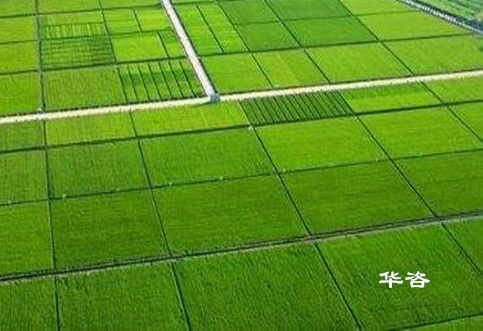 高标准基本农田_湖南农田设计单位_专业基本农田规划公司