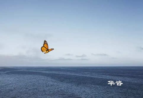 [政策法规]涉水工程施工通航安全保障方案编制与技术评审管理办法