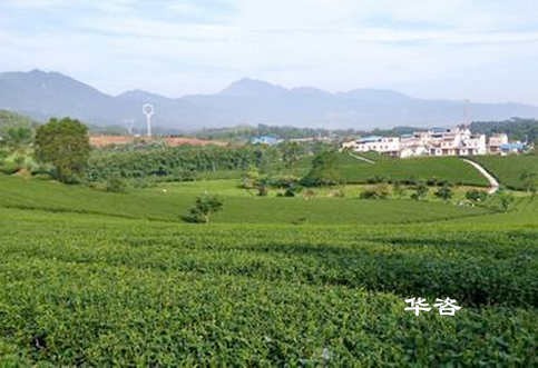 水保方案编制之水土保持主要从事和技术方法