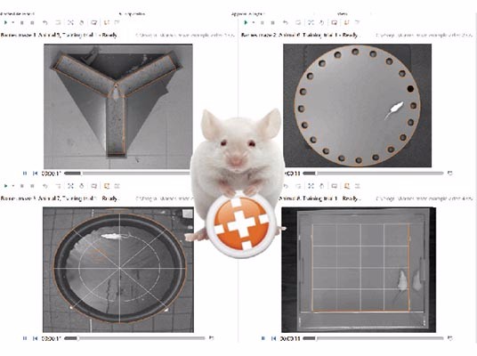 小动物行为学分析软件