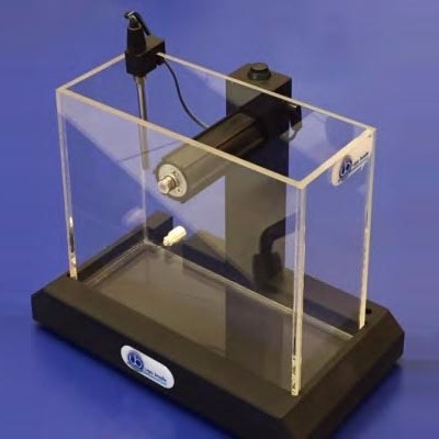 动物行为学实验系列：水迷宫实验介绍