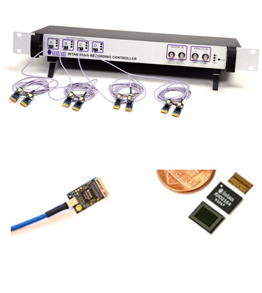 在体多通道电生理