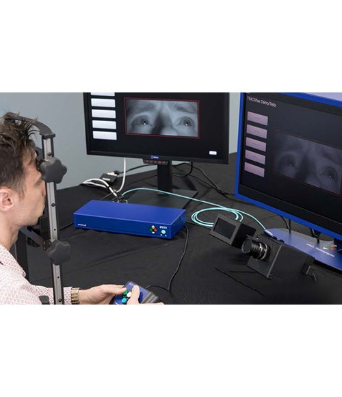 动物眼动仪的作用是什么