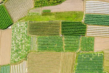 申请行政复议有哪些作用？复议期间还能进行强拆吗？
