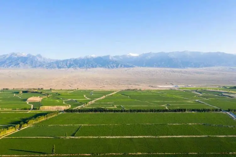 村委会以公益用途截留全部征地补偿款？注意，村委会说了不算！