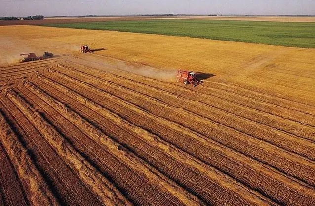 农村土地征收，哪些人符合失地农民社保纳入条件？