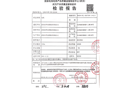 WDZBN-BYJ-2.5质检报告