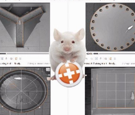 动物精细行为分析是什么？动物精细行为分析仪的工作原理是什么？