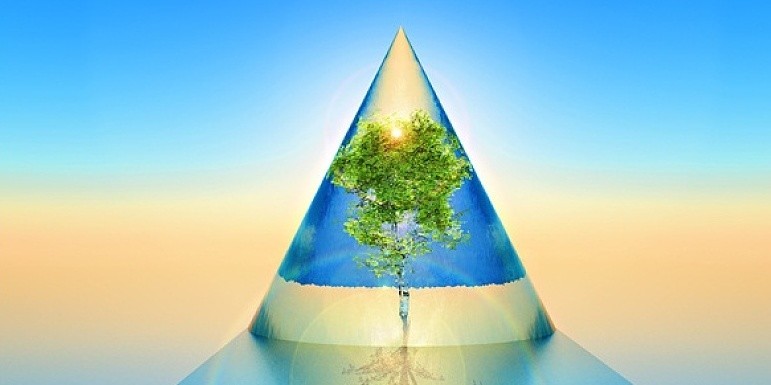 武汉推行“预约制”垃圾处置 信息化助力环