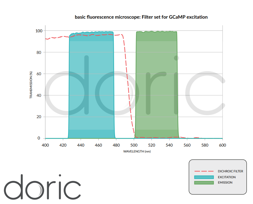 钙成像技术原理详解
