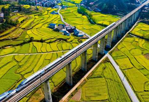 涉路安评，哪些项目需编制涉路安评报告