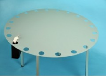 动物行为学迷宫：巴恩斯迷宫的作用