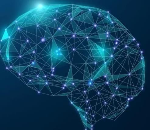 动物行为学迷宫的检测特点有哪些