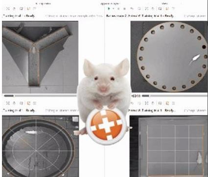动物精细行为分析为什么需求大？