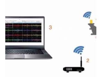 好的动物听觉刺激系统有哪些共同点